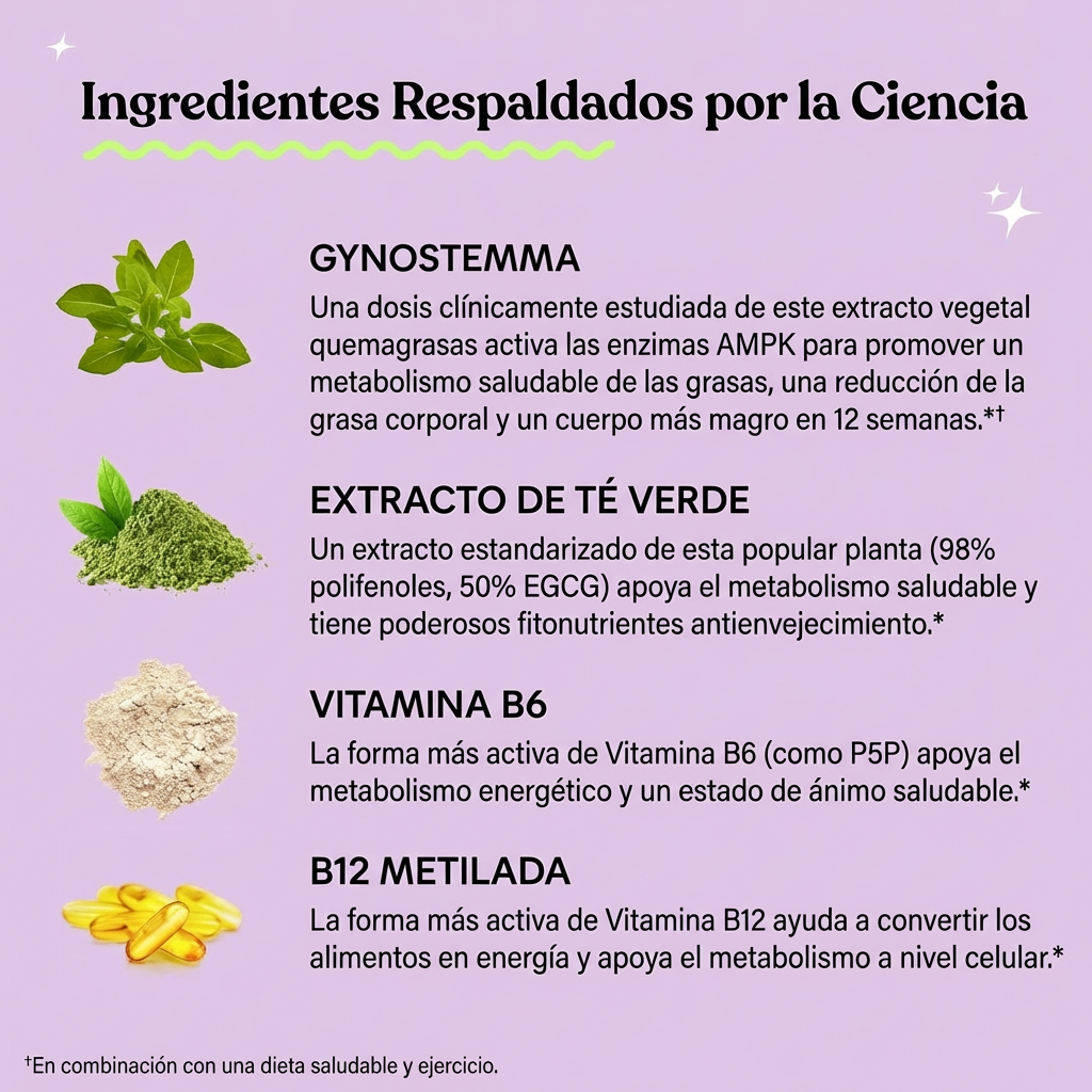 Lemme Burn | Apoyo al Metabolismo y Grasa Abdominal | Promo 1, 2 o 3 Unidades ttk