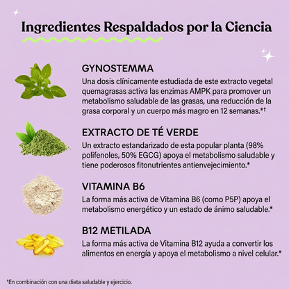 Lemme Burn | Apoyo al Metabolismo y Grasa Abdominal | Promo 1, 2 o 3 Unidades ttk